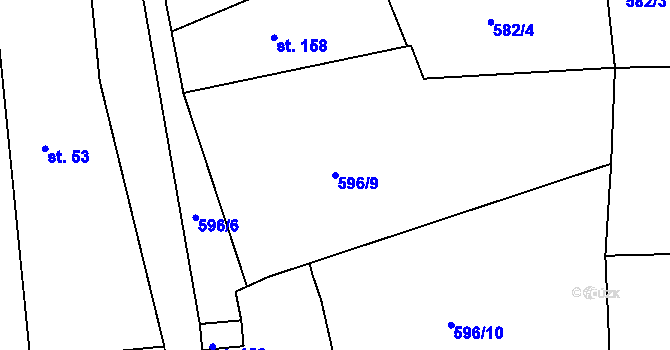 Parcela st. 596/9 v KÚ Nový Dvůr u Písku, Katastrální mapa