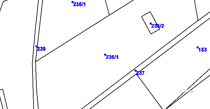 Parcela st. 236/1 v KÚ Sentice, Katastrální mapa