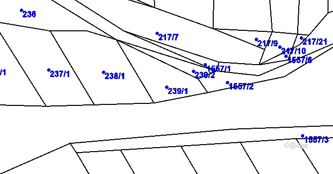 Parcela st. 239/1 v KÚ Líšnice u Sepekova, Katastrální mapa