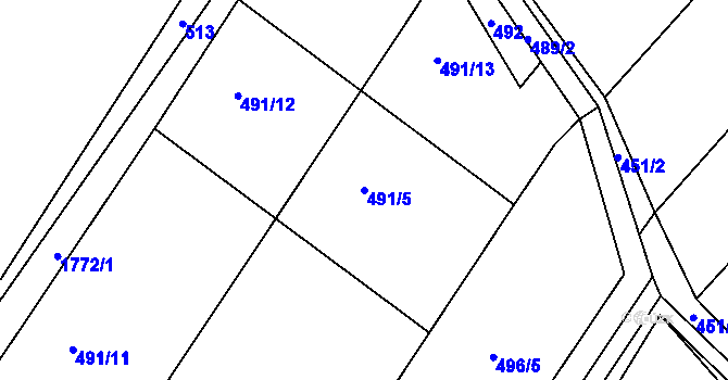 Parcela st. 491/5 v KÚ Sezemice nad Loučnou, Katastrální mapa