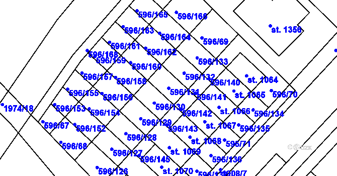Parcela st. 596/131 v KÚ Sezemice nad Loučnou, Katastrální mapa