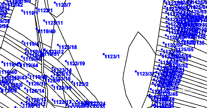 Parcela st. 1123/1 v KÚ Silůvky, Katastrální mapa