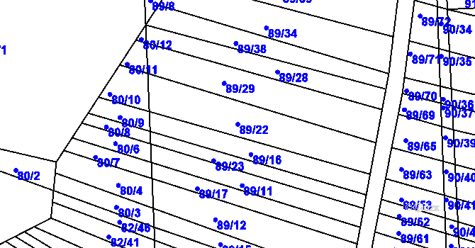 Parcela st. 89/22 v KÚ Silůvky, Katastrální mapa