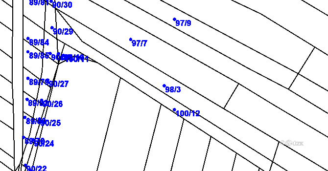 Parcela st. 98/3 v KÚ Silůvky, Katastrální mapa