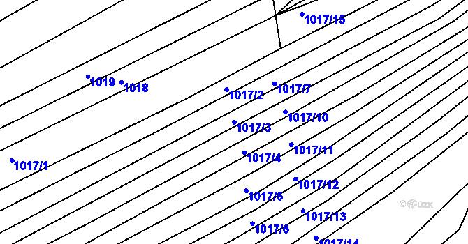 Parcela st. 1017/3 v KÚ Silůvky, Katastrální mapa