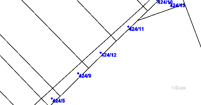 Parcela st. 424/12 v KÚ Siřejovice, Katastrální mapa