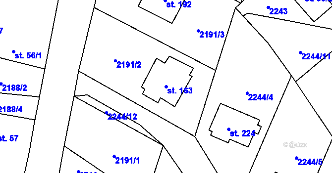 Parcela st. 163 v KÚ Skalice nad Lužnicí, Katastrální mapa