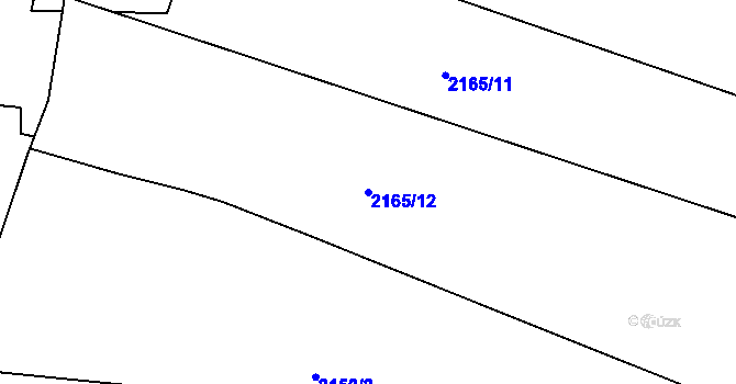 Parcela st. 2165/12 v KÚ Skalice nad Lužnicí, Katastrální mapa