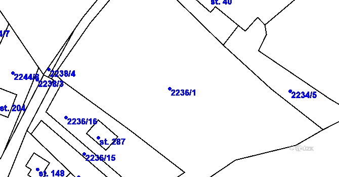 Parcela st. 2236/1 v KÚ Skalice nad Lužnicí, Katastrální mapa
