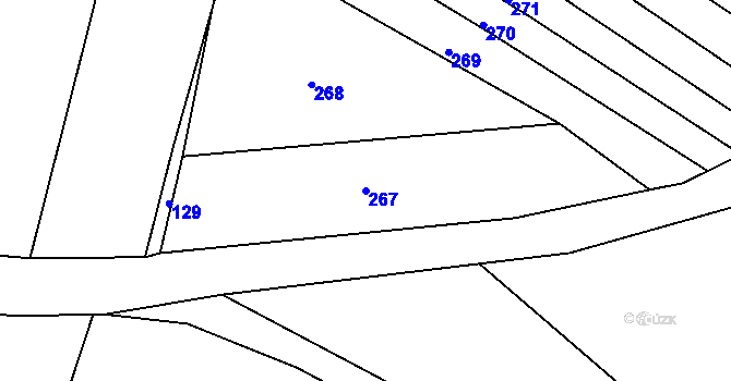 Parcela st. 267 v KÚ Skalice nad Lužnicí, Katastrální mapa