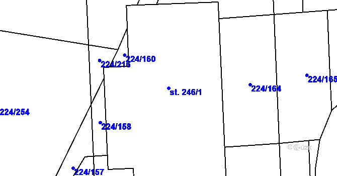 Parcela st. 246/1 v KÚ Skalice nad Svitavou, Katastrální mapa