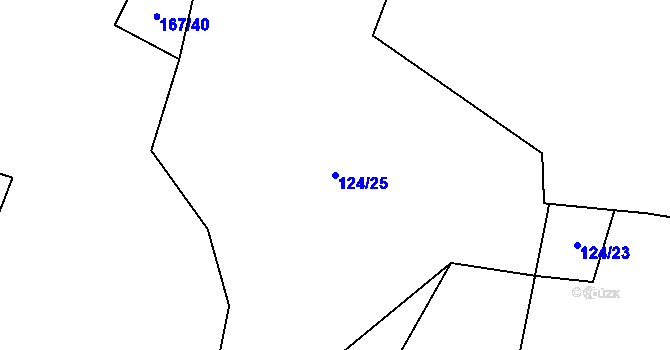 Parcela st. 124/25 v KÚ Skaličany, Katastrální mapa
