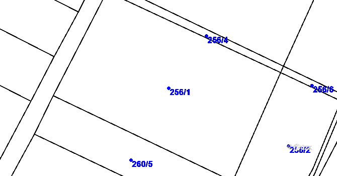 Parcela st. 256/1 v KÚ Skalka u Prostějova, Katastrální mapa
