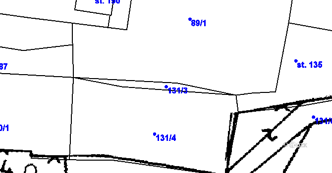 Parcela st. 131/3 v KÚ Skály u Protivína, Katastrální mapa