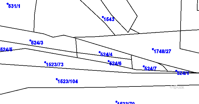 Parcela st. 524/4 v KÚ Rychaltice, Katastrální mapa