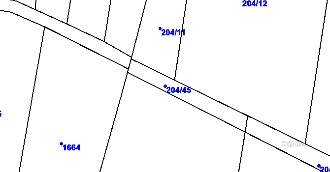 Parcela st. 204/45 v KÚ Skočice u Přeštic, Katastrální mapa