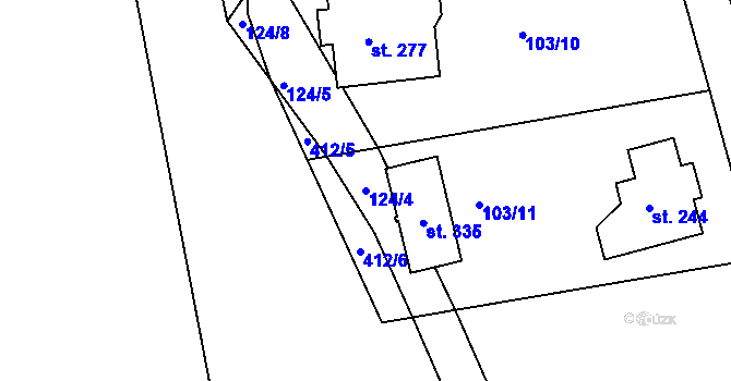 Parcela st. 124/4 v KÚ Skorkov, Katastrální mapa