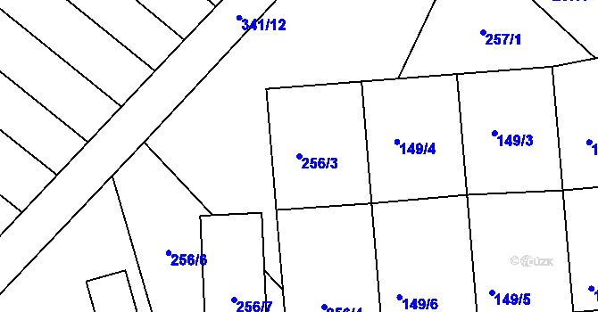 Parcela st. 256/3 v KÚ Skoronice, Katastrální mapa