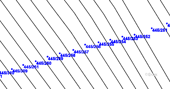 Parcela st. 445/256 v KÚ Skoronice, Katastrální mapa