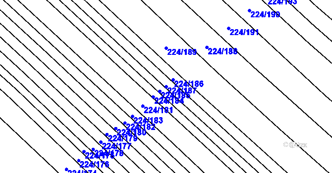 Parcela st. 224/187 v KÚ Skoronice, Katastrální mapa