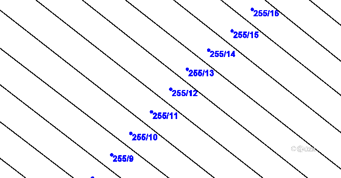 Parcela st. 255/12 v KÚ Skoronice, Katastrální mapa