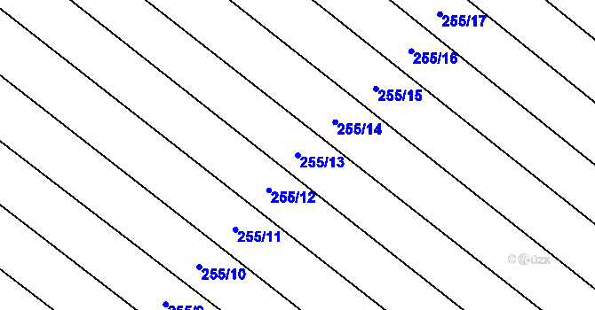 Parcela st. 255/13 v KÚ Skoronice, Katastrální mapa