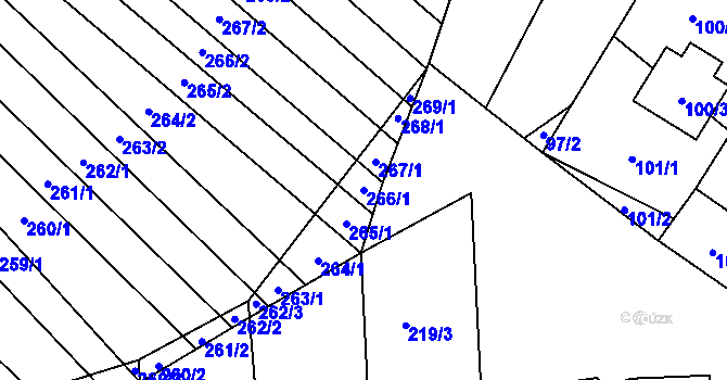 Parcela st. 266/1 v KÚ Skoronice, Katastrální mapa