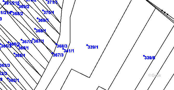 Parcela st. 339/1 v KÚ Skoronice, Katastrální mapa