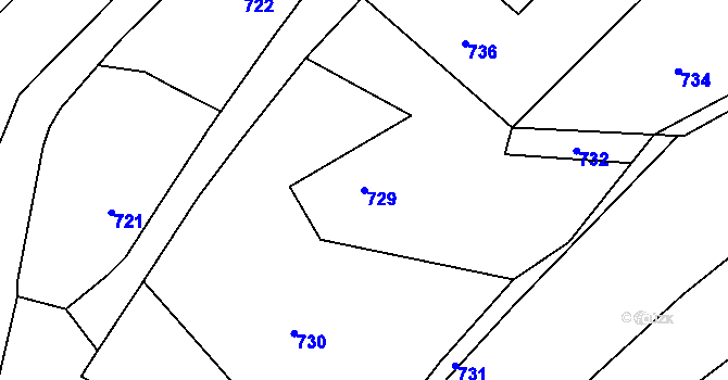 Parcela st. 729 v KÚ Dolní Skorošice, Katastrální mapa