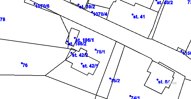 Parcela st. 75/1 v KÚ Skořice, Katastrální mapa