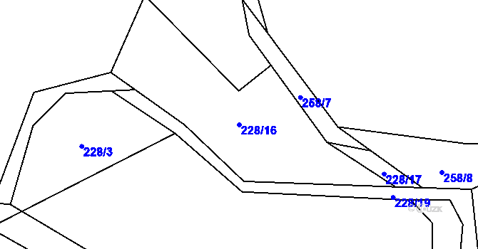 Parcela st. 228/16 v KÚ Skořice, Katastrální mapa