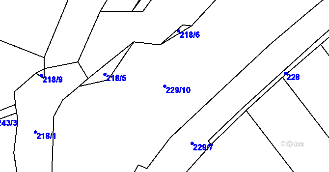 Parcela st. 229/10 v KÚ Skrýchov u Malšic, Katastrální mapa