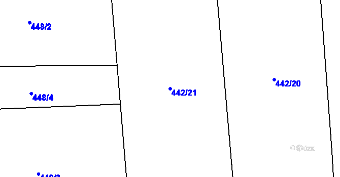 Parcela st. 442/21 v KÚ Skrýchov u Malšic, Katastrální mapa