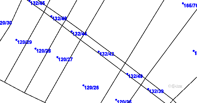 Parcela st. 132/42 v KÚ Skrýchov u Opařan, Katastrální mapa