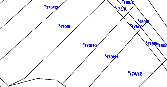 Parcela st. 170/10 v KÚ Skrýchov u Opařan, Katastrální mapa
