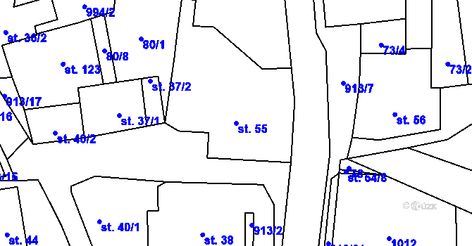 Parcela st. 55 v KÚ Skryje nad Berounkou, Katastrální mapa