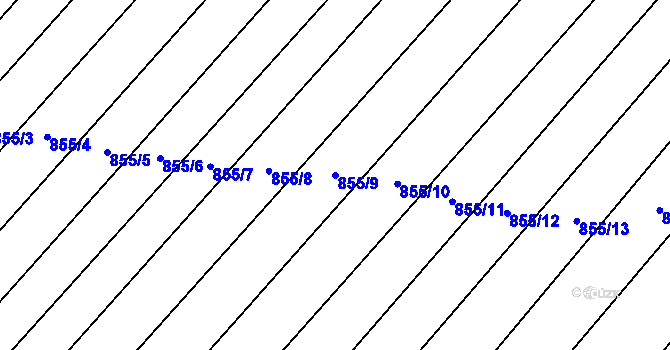 Parcela st. 855/9 v KÚ Skryje nad Berounkou, Katastrální mapa