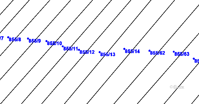 Parcela st. 855/13 v KÚ Skryje nad Berounkou, Katastrální mapa