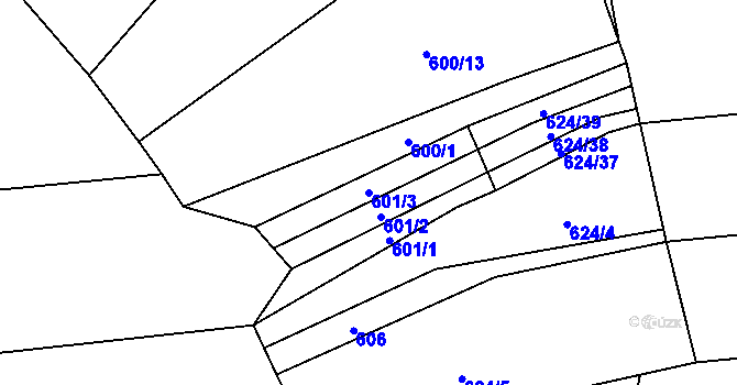 Parcela st. 601/3 v KÚ Skryje nad Berounkou, Katastrální mapa