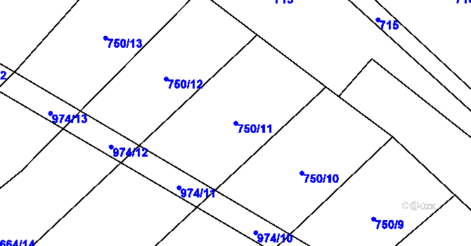 Parcela st. 750/11 v KÚ Skřinářov, Katastrální mapa