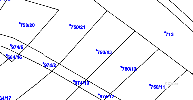 Parcela st. 750/13 v KÚ Skřinářov, Katastrální mapa