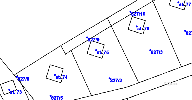 Parcela st. 75 v KÚ Skřinářov, Katastrální mapa