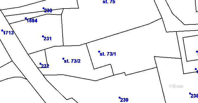 Parcela st. 73/1 v KÚ Skřipov, Katastrální mapa