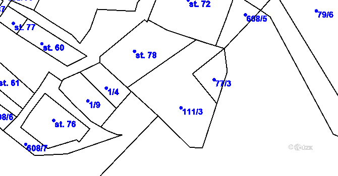 Parcela st. 111/3 v KÚ Skřivaň, Katastrální mapa
