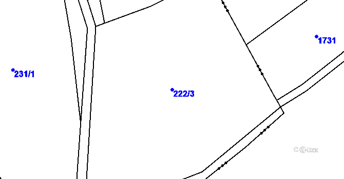 Parcela st. 222/3 v KÚ Hodyně u Skuhrova, Katastrální mapa