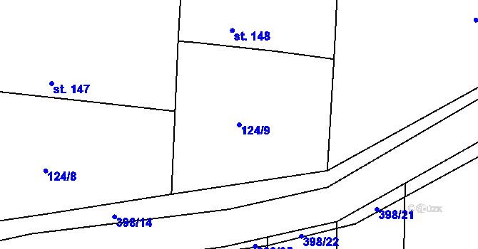 Parcela st. 124/9 v KÚ Skuhrov pod Brdy, Katastrální mapa