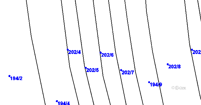 Parcela st. 202/6 v KÚ Církvice u Kolína, Katastrální mapa