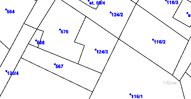 Parcela st. 124/3 v KÚ Skvrňov, Katastrální mapa