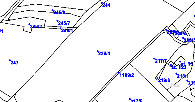Parcela st. 229/1 v KÚ Nedvězí u Semil, Katastrální mapa