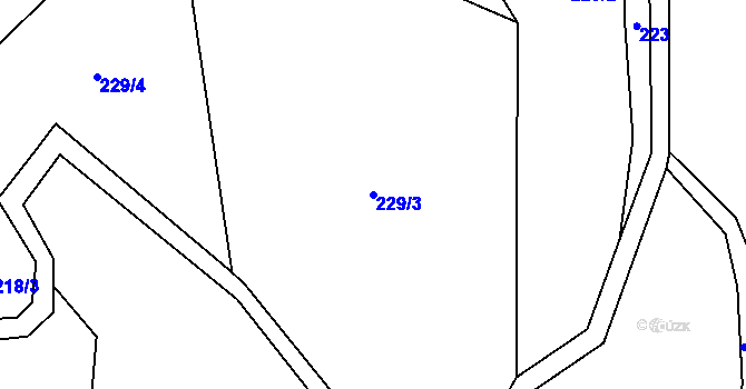 Parcela st. 229/3 v KÚ Nedvězí u Semil, Katastrální mapa